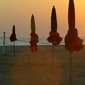 France 5 une fois de plus leader dimanche avec le documentaire «Deauville - Trouville, entre chic et charme»