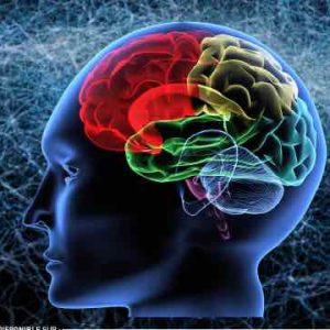 Science & Vie TV : programmation spéciale «Les secrets du cerveau» le 15 mars dès 20h45