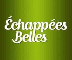 France 5 : leader du prime TNT avec «Echappées belles» samedi