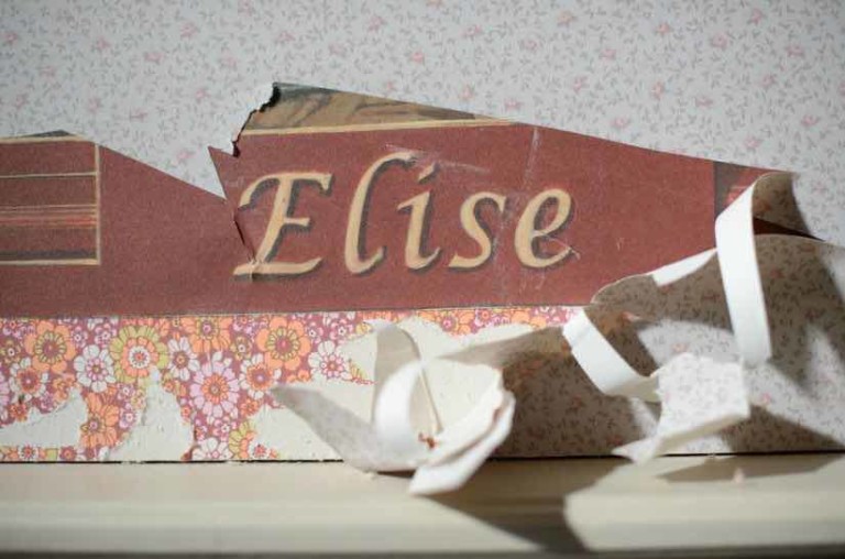 TF1 : succès pour «Le secret d’Élise» à J+7 en replay