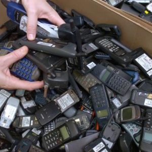 Les téléphones de niche en plein essor