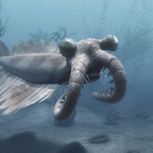 France 5 : leader TNT avec le documentaire «Voyage aux origines de la Terre»