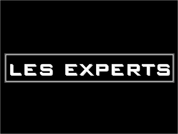 TF1 : «Les experts» petit leader du Night samedi 