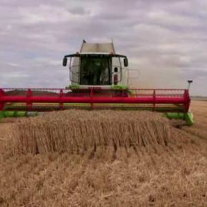 France 5 : leader TNT dimanche en Prime avec le documentaire «Manger plus pour se nourrir moins»