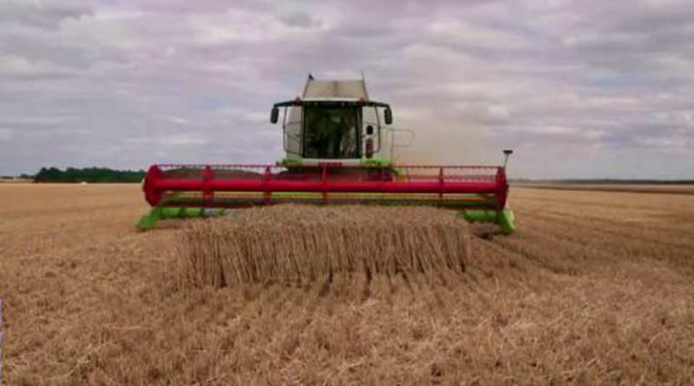 France 5 : leader TNT dimanche en Prime avec le documentaire «Manger plus pour se nourrir moins»