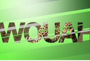 Nat Geo Wild lance sa toute dernière campagne de marque, «Wouah»