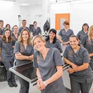 NT1 : «Vétérinaires, leur vie en direct» le 16 juillet