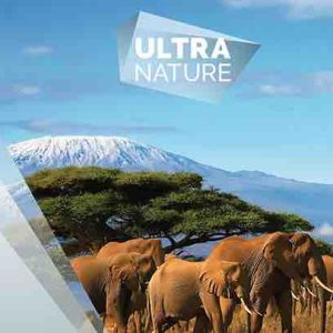 AB Groupe : partenariat avec The Explorers Network