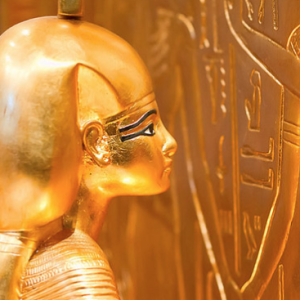 France 5 : «Toutankhamon, secrets de famille» leader du Prime TNT mercredi en Prime
