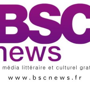 Gilets jaunes/journaliste de C-News agressé: 5 mois de prison avec sursis