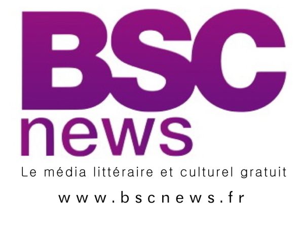 Gilets jaunes/journaliste de C-News agressé: 5 mois de prison avec sursis