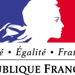 L’Etat veut mettre en place à l’échelle nationale un dispositif de «chèque numérique»