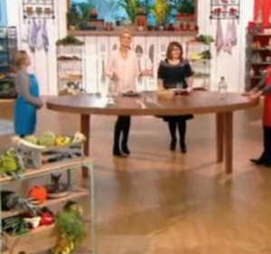 France 2 annonce déjà une nouvelle émission dans un mois, en quotidienne, à 16h45 à la place d'Elodie Gossuin