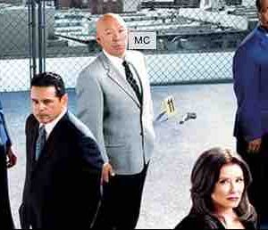 France 2 : «Major Crimes», saison 4 dès le lundi 3 juillet à 20h55