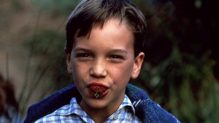 W9 : «Le grand chemin» leader du Prime TNT mardi