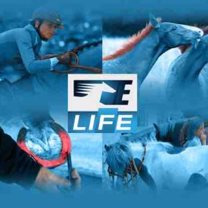 Equidia Life : la chaîne du cheval dédiée à l’équitation fermera le 31 décembre
