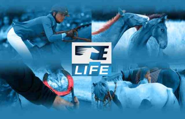Equidia Life : la chaîne du cheval dédiée à l’équitation fermera le 31 décembre
