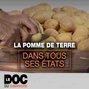 France 5 : leader du Prime TNT avec les documentaires «Le citron a-t-il un pépin ?» et «La pomme de terre dans tous ses états» dimanche en Prime