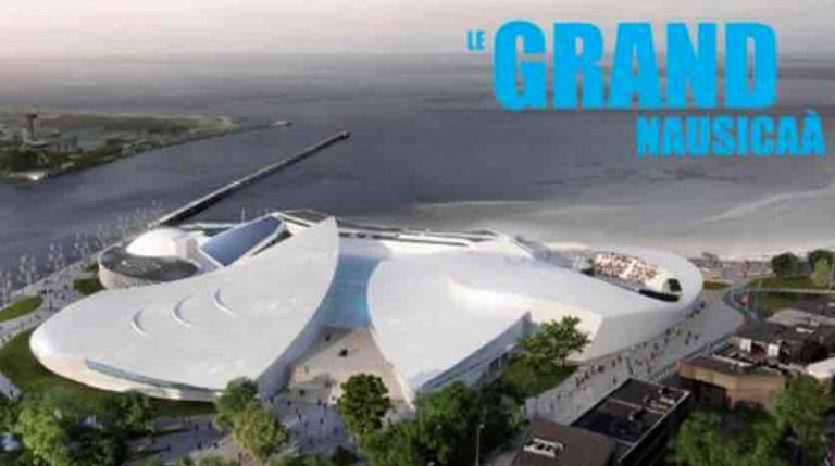 GEDEON Programmes: «L’aquarium du futur» en tournage en Afrique du Sud