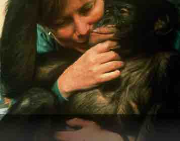 Nat Geo Wild : «Qui singe qui ?» dès le 3 décembre