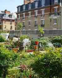 France 5 : leader du Prime TNT dimanche avec «Toits de Paris, des jardins extraordinaires»