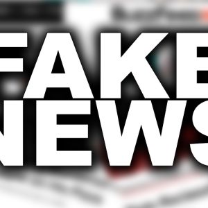 L’Assemblée divisée sur la loi anti-fake news