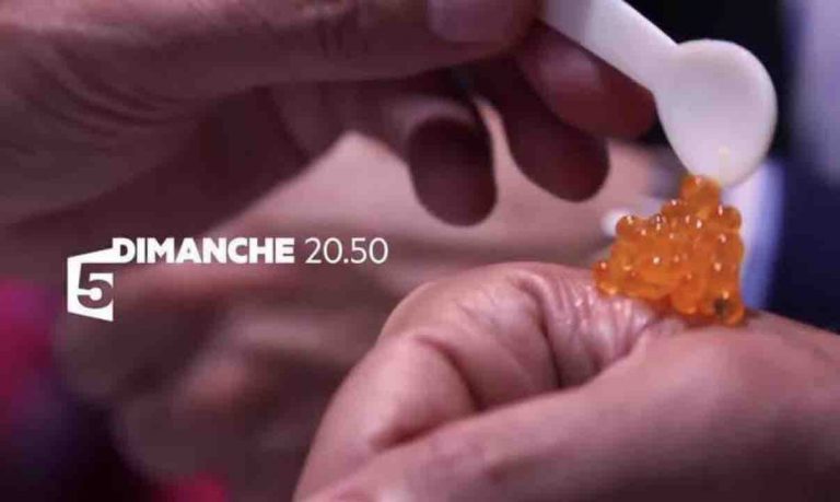 France 5 : leader du Prime TNT dimanche avec le documentaire «Caviar, tarama, le bon filon»