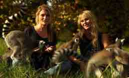 C8 : «Les incroyables naissances des bébés animaux» vendredi 29 décembre à 21h00