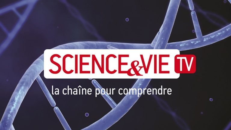 Science & Vie TV/ «Mag de la science» : «Alerte au sucre» dimanche 22 avril à 19h00 