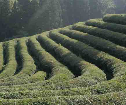 Voyage : soirée spéciale Corée du Sud le 25 février