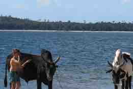 Voyage : «Mada Trek, la fin» tous les mercredis à 20h55 dès le 31 janvier prochain