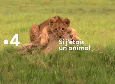 France 4 : «Si j’étais un animal» dès le 12 mars à 13h25