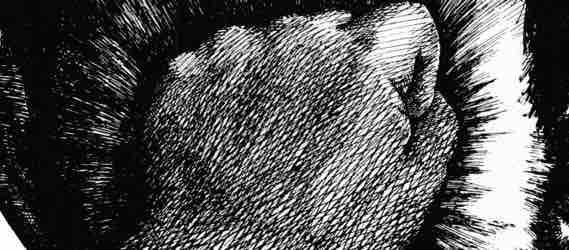 France 3 : 1ère cérémonie de remise du prix Topor lundi 9 avril