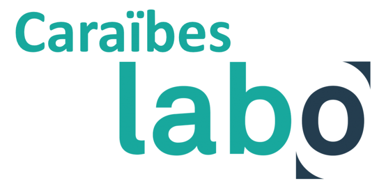 Labo Caraïbes : les 4 lauréats dévoilés