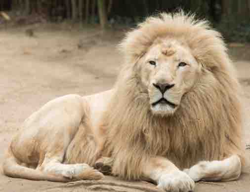 France 4 : «Une saison au zoo» saison 8 inédite dès le 26 avril