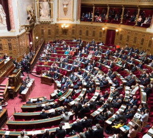Le Sénat rejette d'emblée, en nouvelle lecture, les deux propositions de loi controversées contre "la manipulation de l'information"