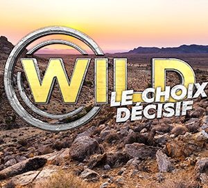 M6 : «Wild, le choix décisif» stable lundi en Night