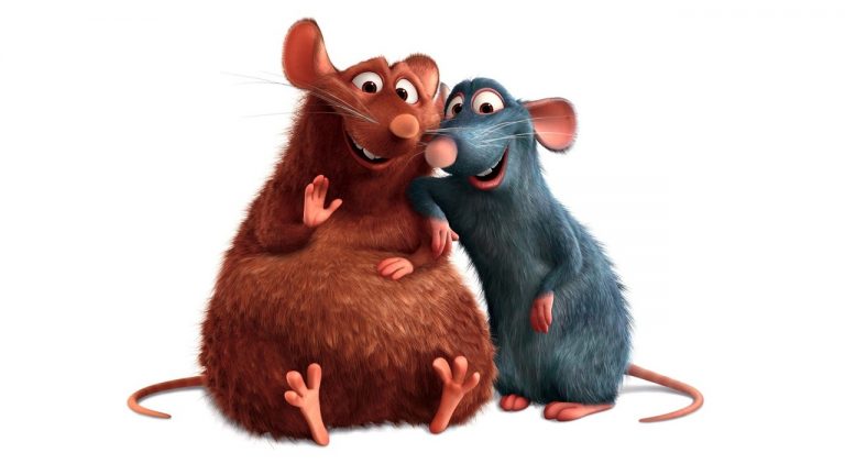 M6 : «Ratatouille» attire 3.322.000 téléspectateurs lundi en Prime