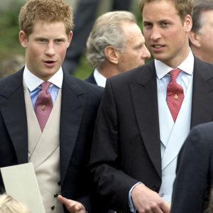 C8 : «William & Harry : Qui sont-ils réellement ?» leader du Prime TNT vendredi 