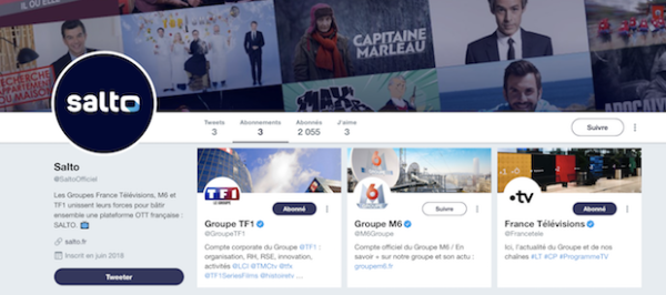 France Télévisions, TF1 et M6 lancent la plateforme Salto pour contrer Netflix
