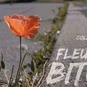 France 3 Paris Ile-de-France lance la collection documentaires «Fleurs de Bitume» dès le lundi 1er octobre dans la case «Qui sommes-nous ?»