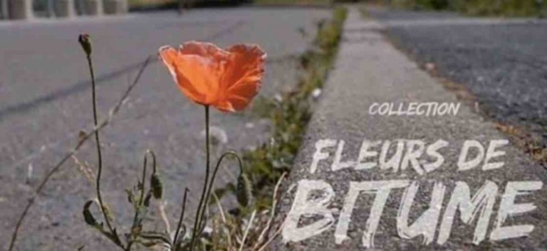 France 3 Paris Ile-de-France lance la collection documentaires «Fleurs de Bitume» dès le lundi 1er octobre dans la case «Qui sommes-nous ?»