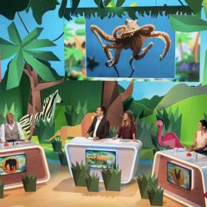France 4 : «Drôlement bêtes les animaux en questions Spécial Fête de la science» samedi 6 octobre à 20h55