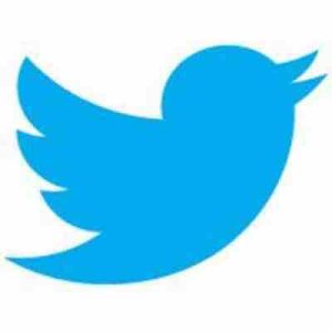Présidentielle: les «fake news» ont représenté moins de 0,1% d’un total de 60 millions de tweets politiques