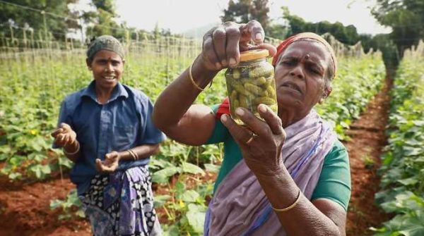 France 5 : «Cornichon, l’agité du bocal» leader du Prime TNT dimanche