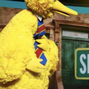 Après 50 ans à donner vie à la marionnette «Big Bird», Caroll Spinney a décidé de raccrocher