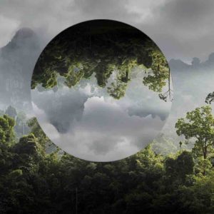 France Télévisions se mobilise pour l’environnement