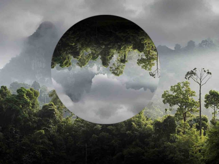 France Télévisions se mobilise pour l’environnement