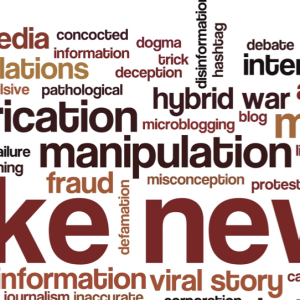 Loi anti-fake news: les députés communistes, socialistes et Insoumis saisissent le Conseil constitutionnel