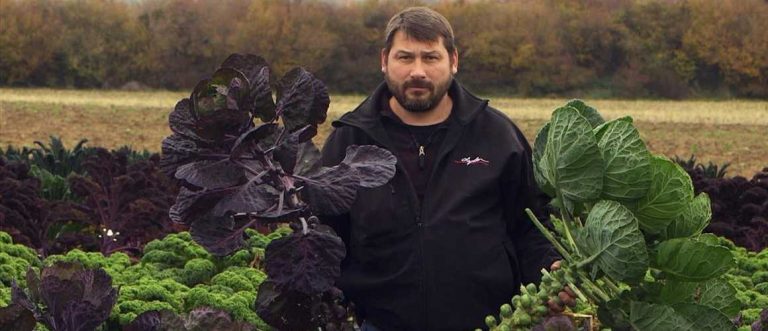 France 5 : «Le chou, un légume à la mode» leader du Prime TNT dimanche